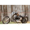 Harley Davidson Ironhead 900